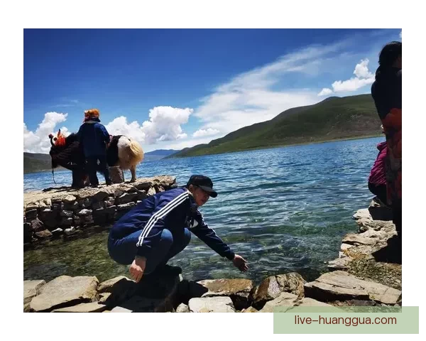 【天天插天天】——灵感迸发的奇妙碰撞，让生活焕发新生